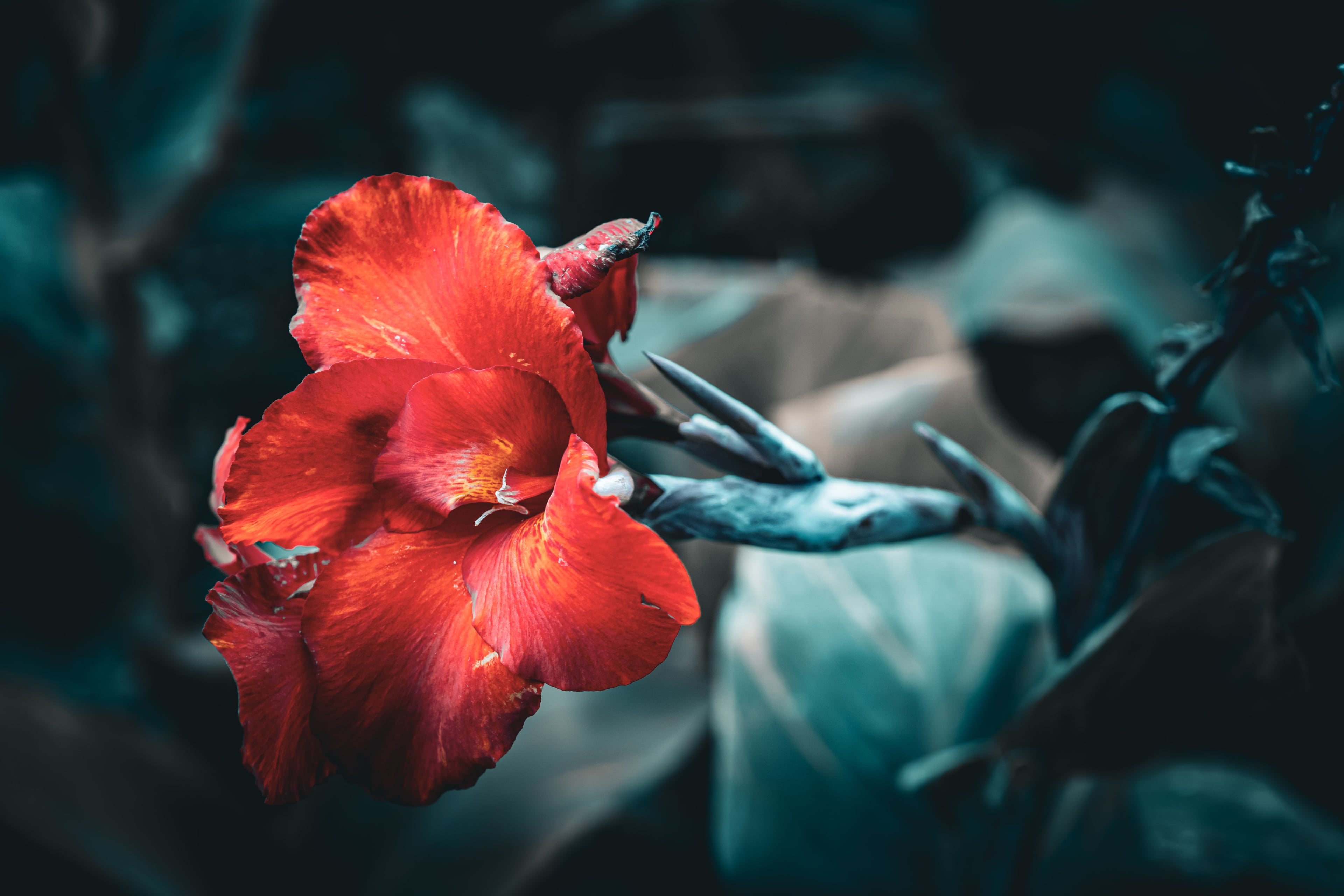 Photography by Jackson Wright