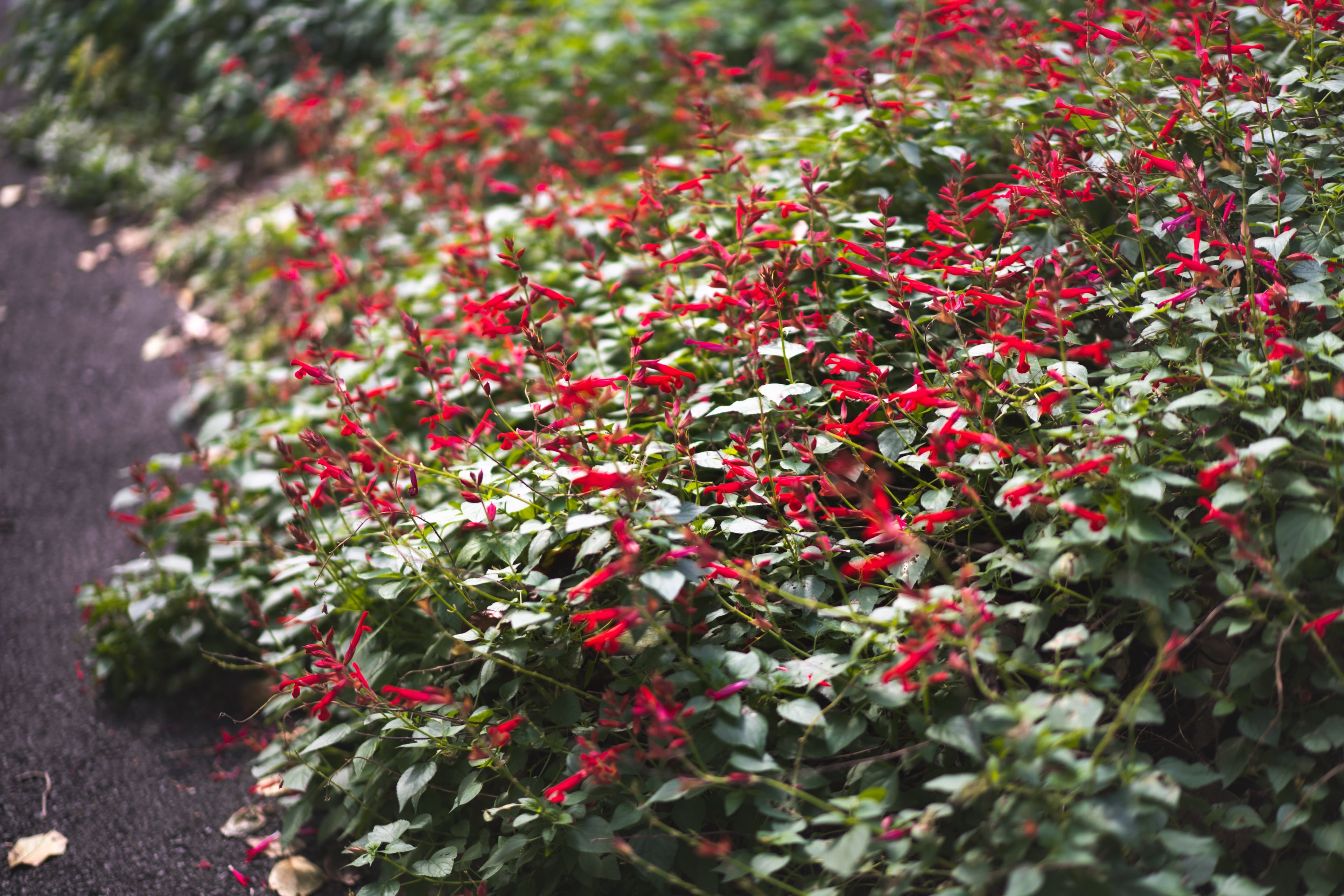 Photography by Jackson Wright