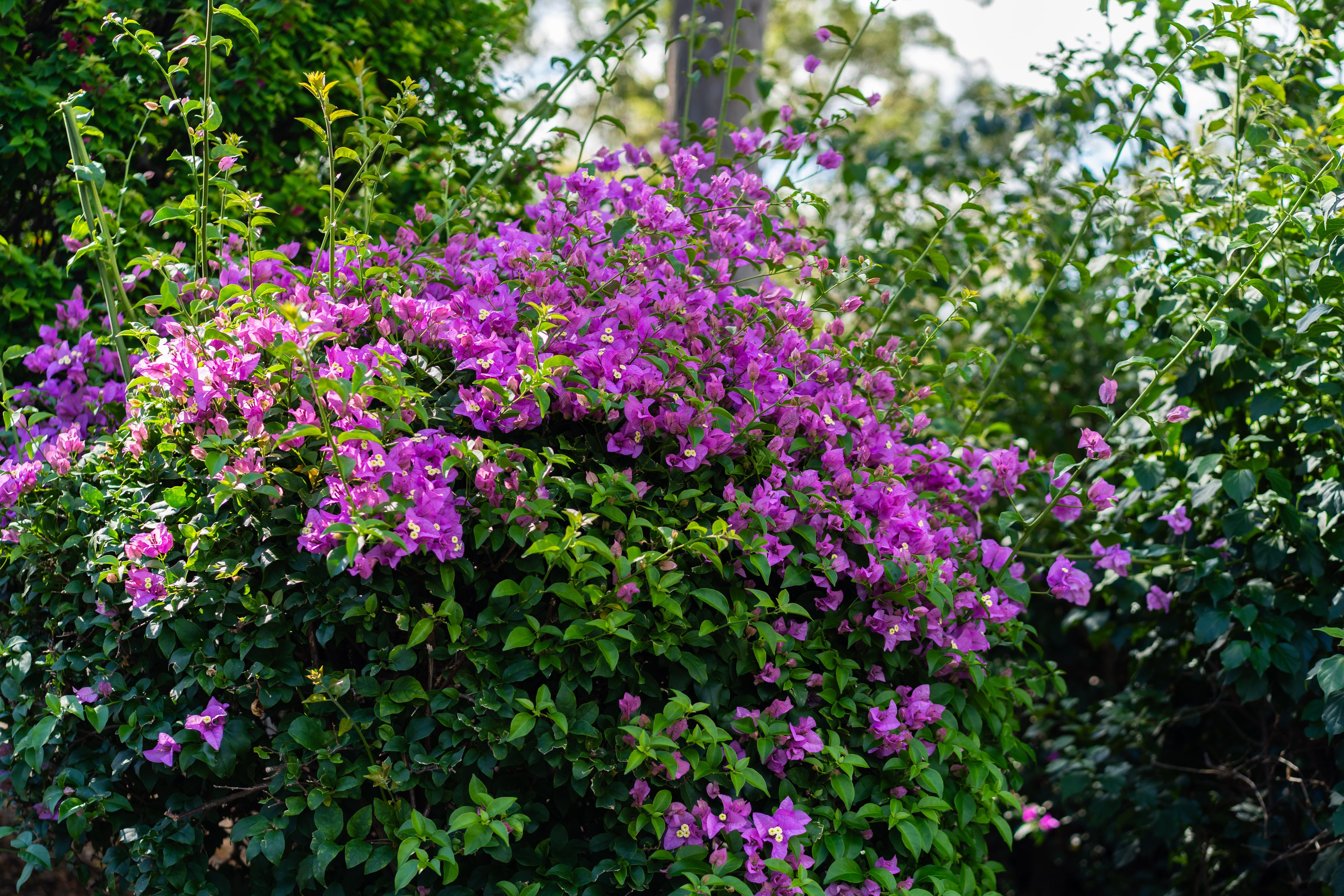 Photography by Jackson Wright