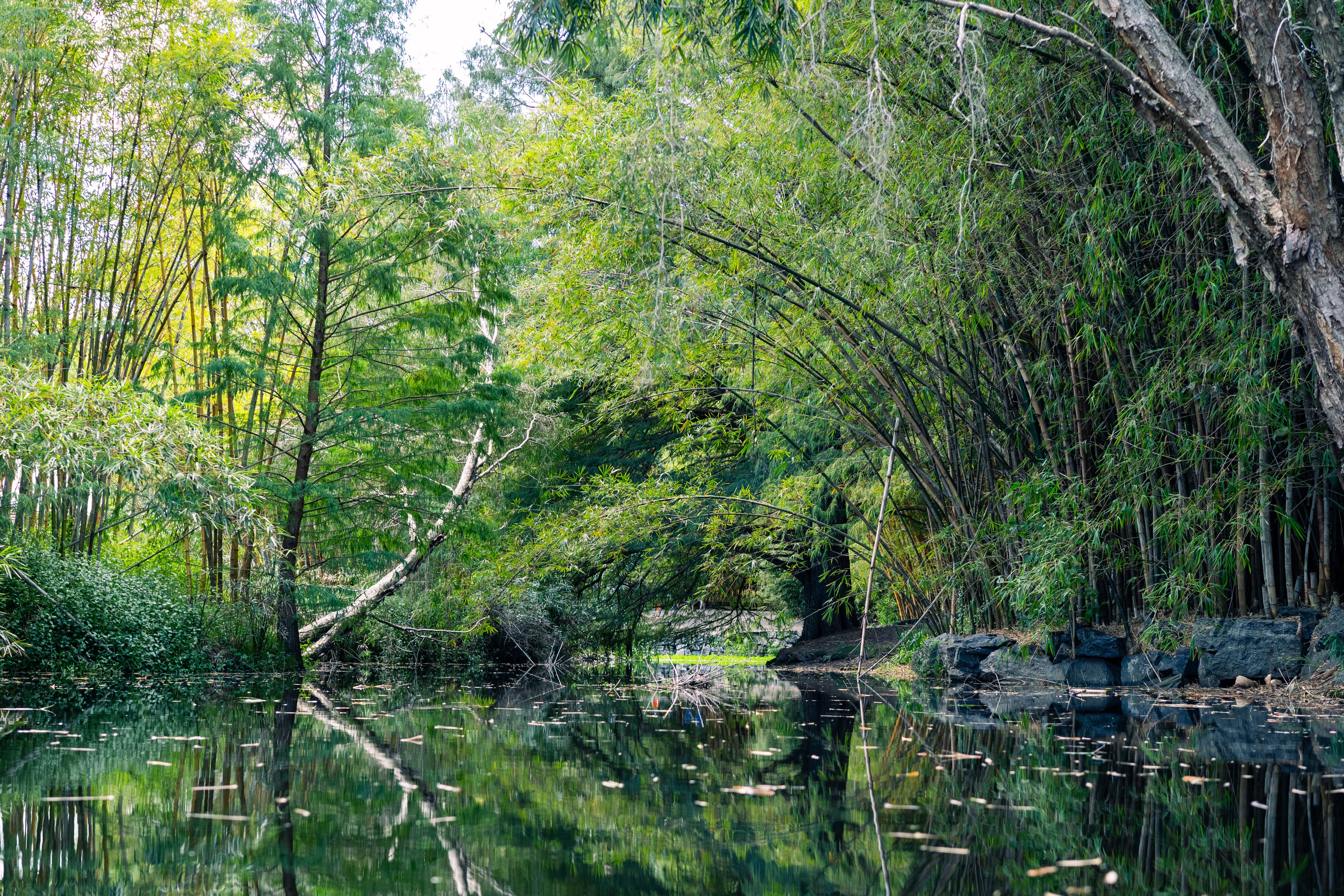 Photography by Jackson Wright